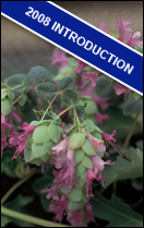 2008 Introduction