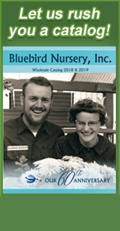 Home Bluebird Nursery Inc Catalog