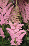 Click here to view product