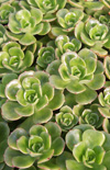 Click here to view product