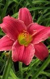 Click here to view product