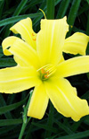 Click here to view product