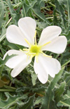 Click here to view product