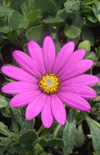 Click here to view product