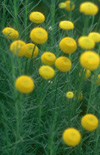 Click here to view product