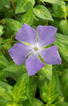 Click here to view product