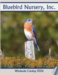 Bluebird Catalog