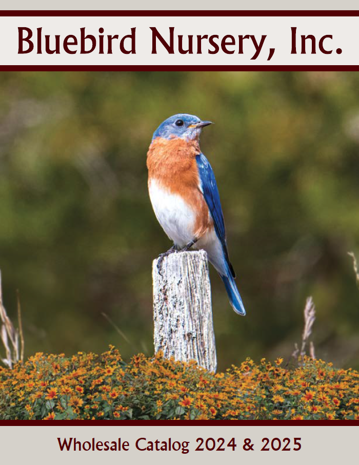 Bluebird Catalog