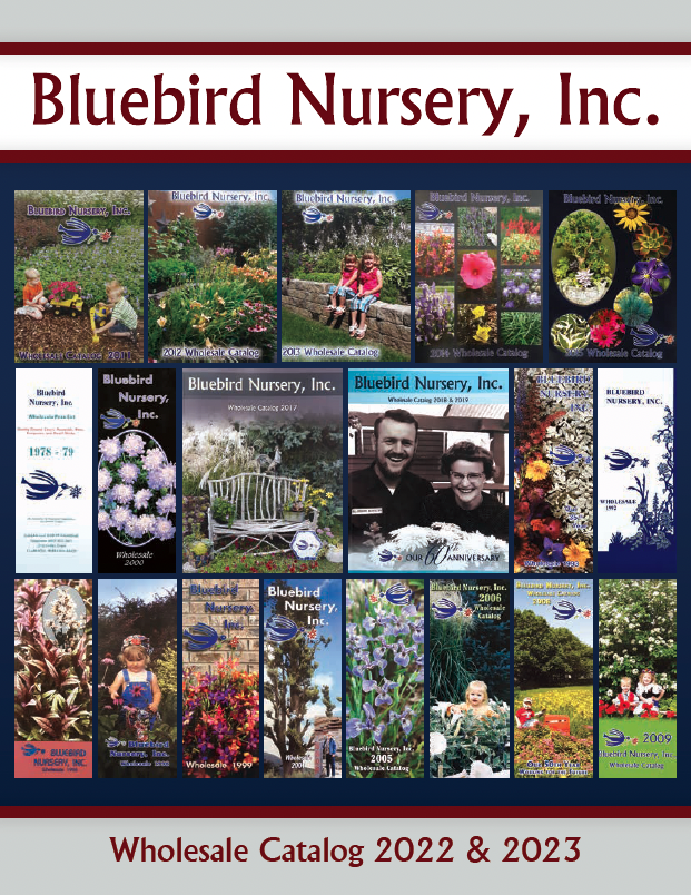2022 Bluebird Catalog