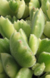 Click here to view product