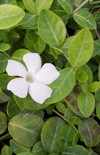Click here to view product